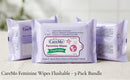 CAREMORE FEMININE WIPES 10'S X 3 STICKER Caremore