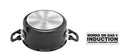 HAWKINS NON-STICK STEWPOT 3L WITH LID (INST30)